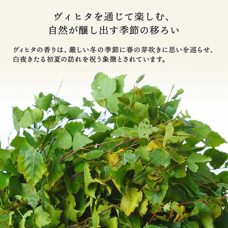 ヴィヒタ